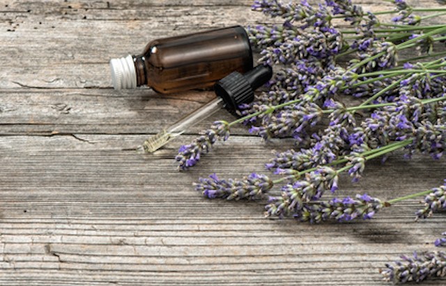 Perfumed herbal oil essence and dreied lavender flowers