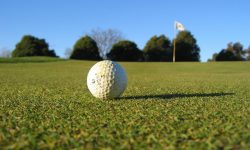 golf-ball-on-the-grass-1520778-640x480